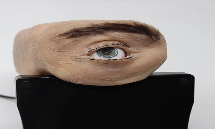 Crearon una webcam con ojo con aspecto humano