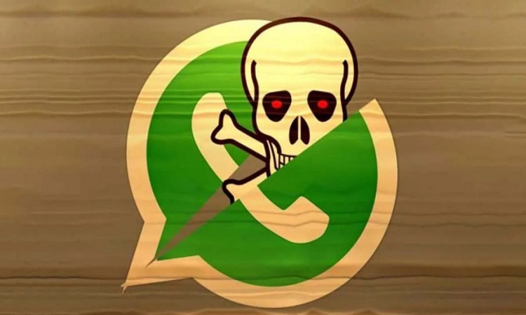 WhatsApp: dos estudiantes encontraron una forma de hackear cuentas 