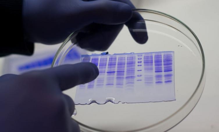 Antiviral de laboratorio santafesino obtuvo 97% de eficiencia en Fase 1