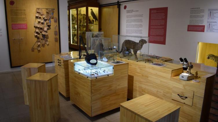 El museo Ameghino lanza su segundo libro digital 