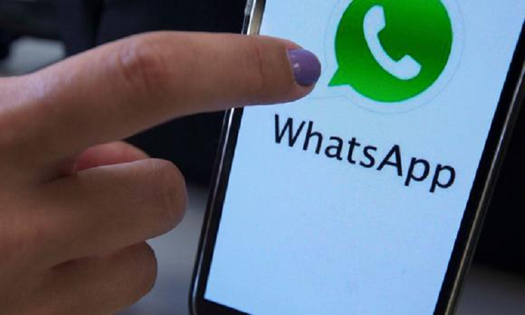 WhatsApp: 