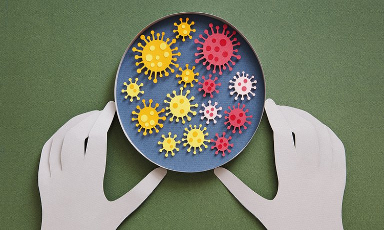 OMS: nuevo sistema para clasificar las variantes del coronavirus