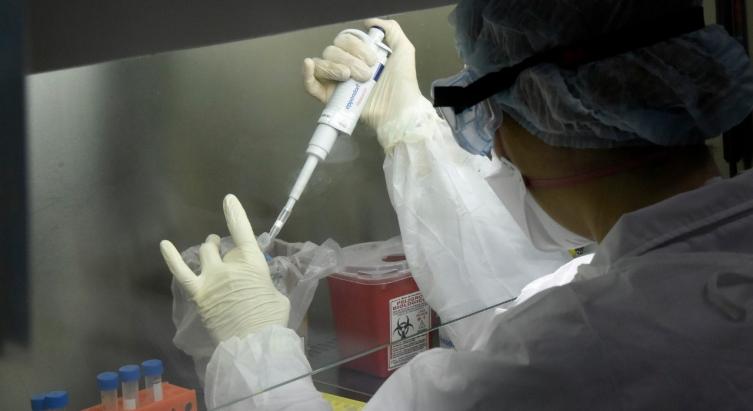 Covid: 2.381 casos nuevos y 78 muertes