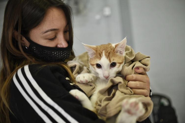 La campaña de castración gratuita continúa en la ciudad