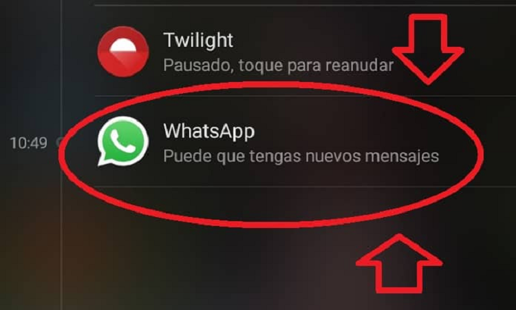 WhatsApp: la notificación que inquieta a los usuarios
