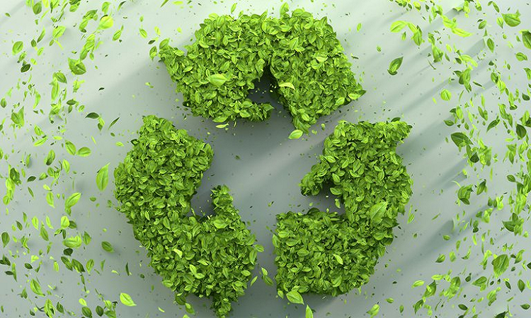 Creció un 86% la suma de usuarios que eligen productos con impacto positivo