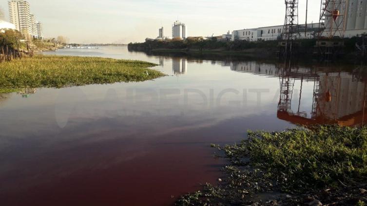 Por qué apareció una mancha en el agua del Dique II