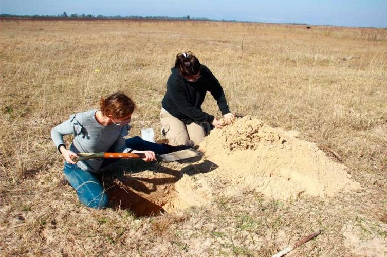 Se hallaron restos arqueológicos en la Laguna Setubal
