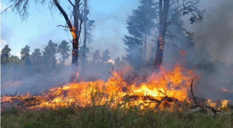 Incendio en Córdoba: hay más de 80 evacuados