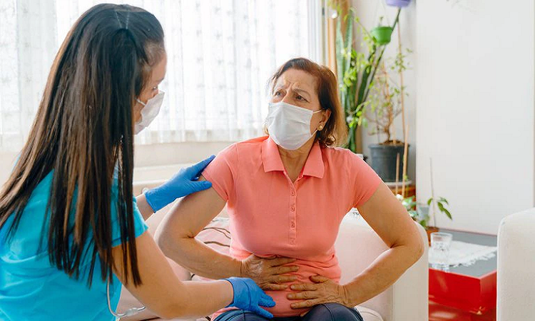 Argentinos descubren circuitos claves del sistema inmune en el intestino