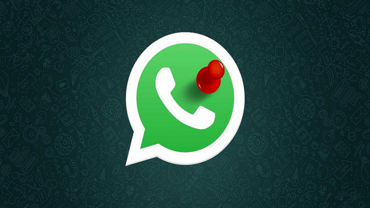 WhatsApp: así destacas un diálogo para no perderlo de vista