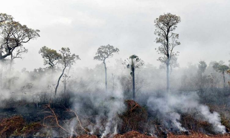 Los incendios forestales arrasan las áreas protegidas en Bolivia