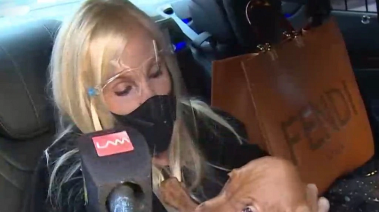 Susana Giménez: “Yo puedo ir adonde se me dé la gana”
