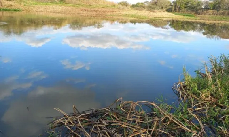 Encontraron los cuerpos de los hermanitos que cayeron al río 