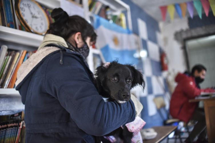 Cronograma de castración y vacunación para animales de compañía