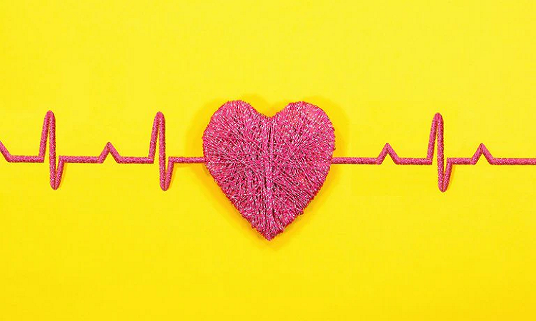 Salud cardiovascular: Qué controles son necesarios y cada cuanto tiempo realizarlos