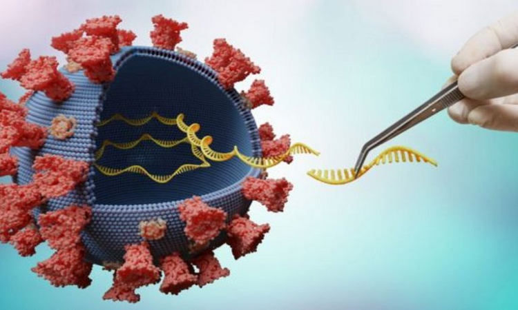 COVID-19: sensor de ADN detecta en qué momento una persona es más contagiosa