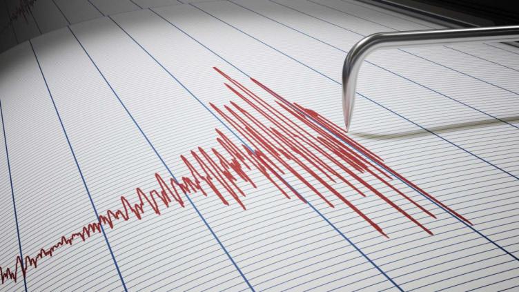 Un fuerte sismo de 5,8º sacudió a la provincia de Mendoza