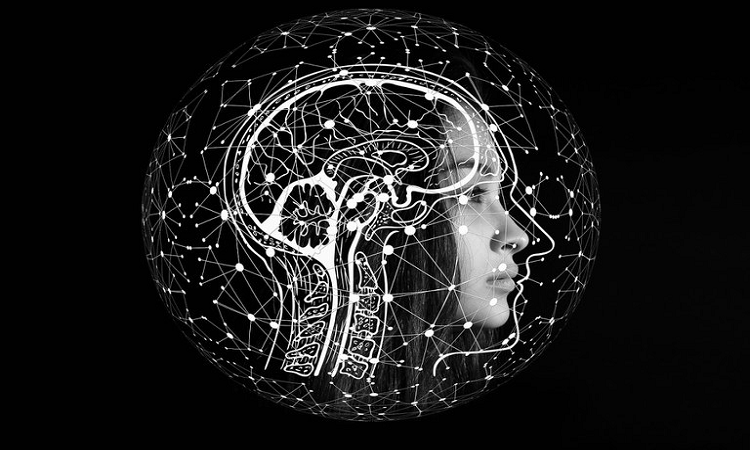 Tres descubrimientos científicos impactantes