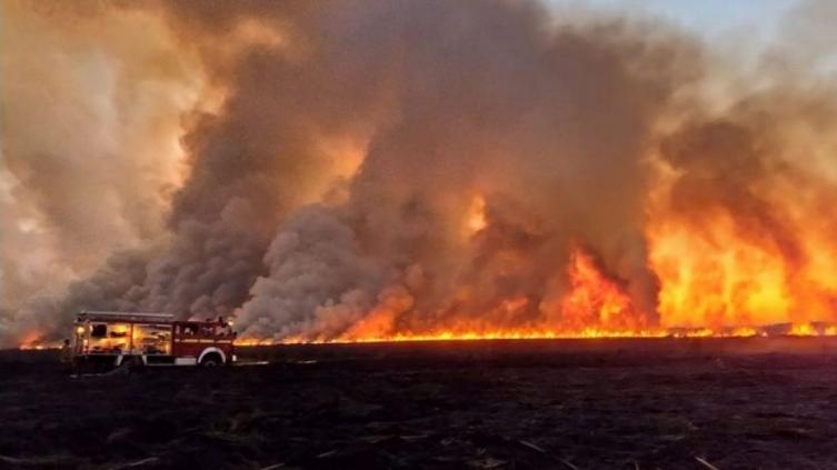 Unos 25 brigadistas combaten un nuevo incendio en el Delta
