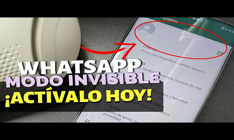 WhatsApp: “modo invisible”, qué es y cómo se activa 