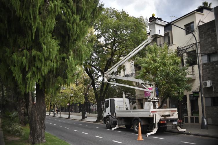 Martes con trabajos de fumigación, iluminación y bacheo 