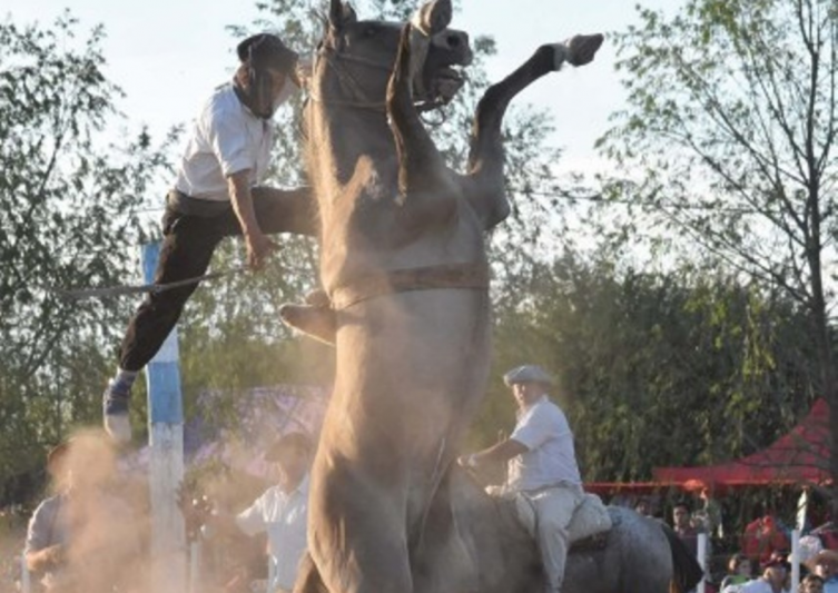 Tragedia en un festival de doma y folclore: murió un jinete
