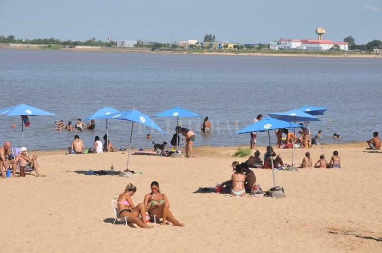 Las palometas continúan atacando en las playas de la zona