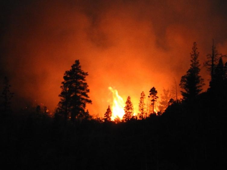 Alerta por incendios forestales en Chubut, Río Negro y Neuquén