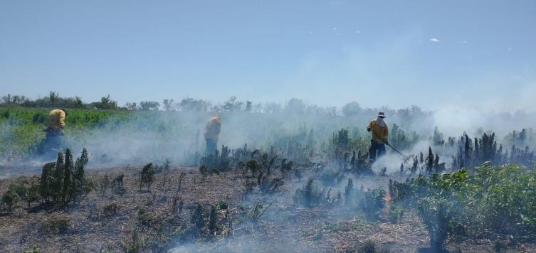 Este lunes se apagaron más de 10 incendios en el Gran Santa Fe