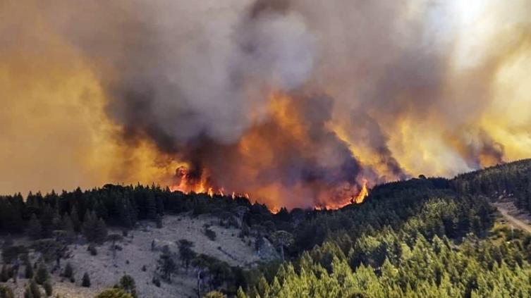 Incendios: hay focos activos en siete provincias