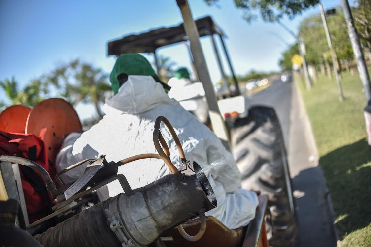 Trabajos de fumigación, iluminación y bacheo para este miércoles