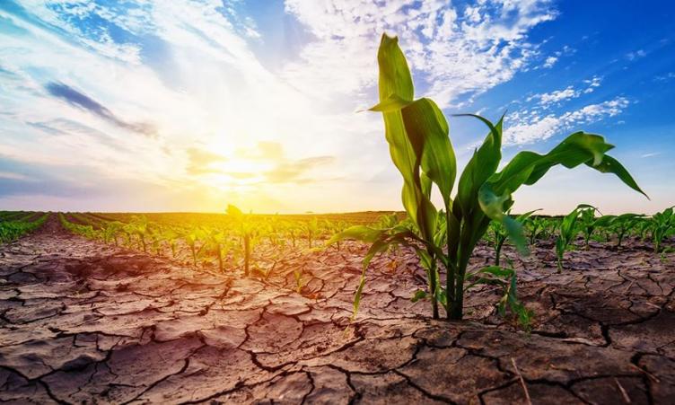 “Convocatoria de la Comisión Provincial de Emergencia Agropecuaria”