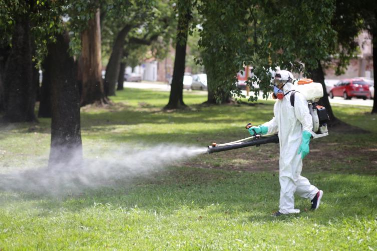 Trabajos de fumigación, iluminación y bacheo para este lunes