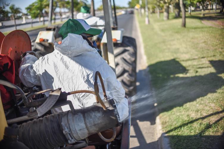 Trabajos de fumigación, iluminación y bacheo para este jueves