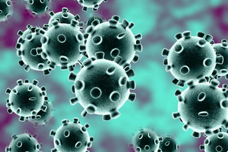 Coronavirus en Argentina: 65.241 casos y 51 muertes este domingo