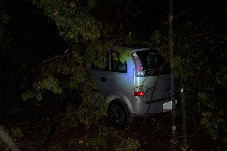 Un fuerte temporal de viento golpeó al sur de Santa Fe