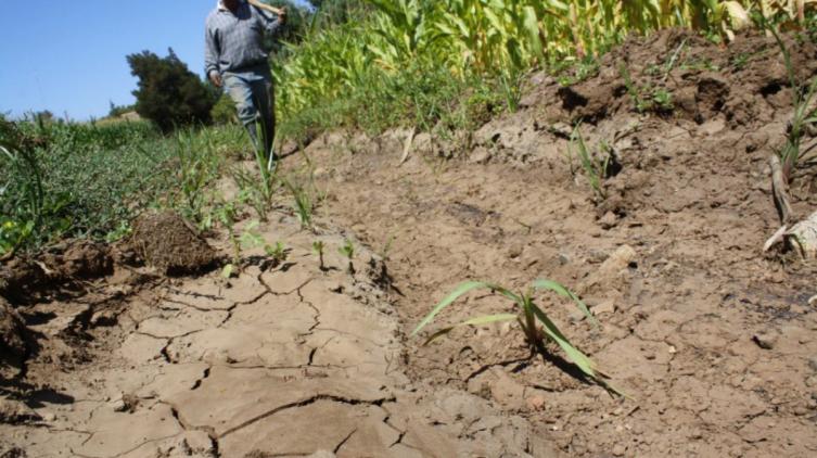 Santa Fe declarará la emergencia agropecuaria