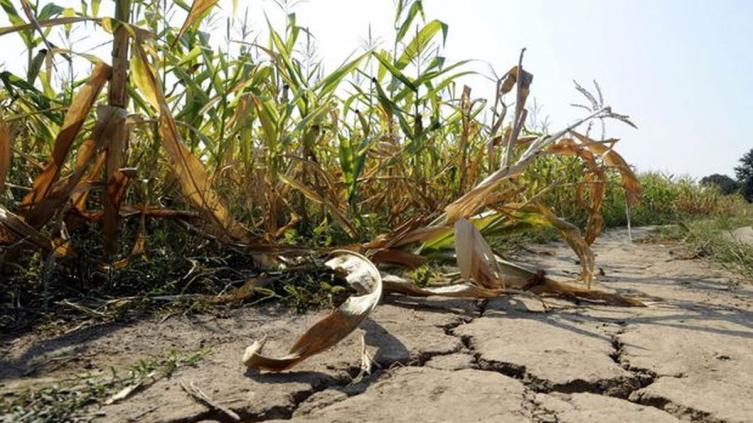 Perotti firmó el decreto que declara la emergencia agropecuaria