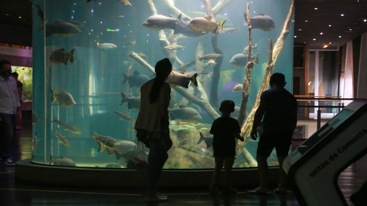 El acuario del Río Paraná con visitas libres y acompañadas 
