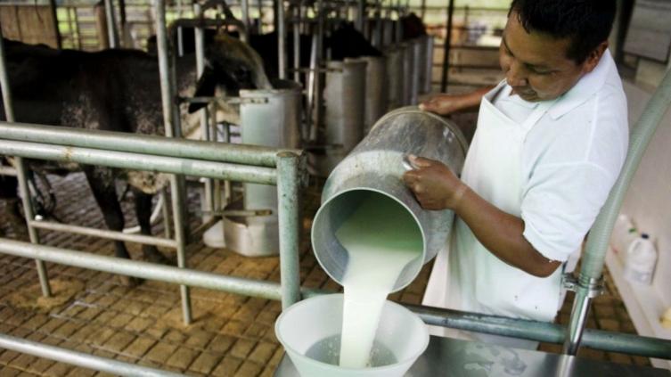 Santa Fe exporta más de 3.000 millones de litros de leche