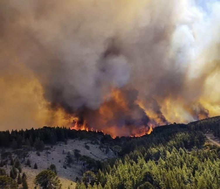 Declaran el estado de emergencia agropecuaria en Misiones, Córdoba y Mendoza