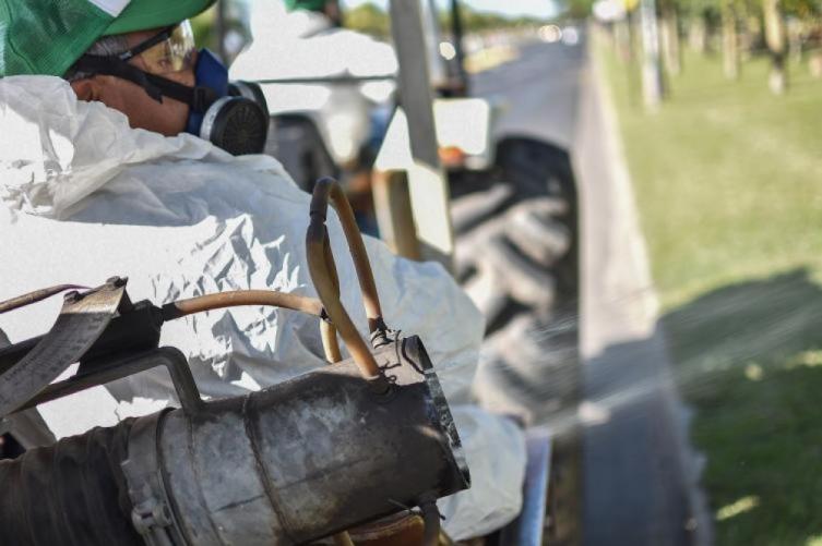Trabajos de fumigación, iluminación y bacheo para este jueves
