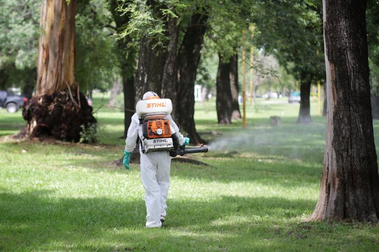 Fumigación, iluminación y bacheo para este viernes