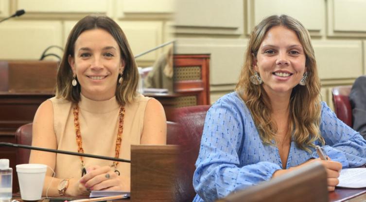 De Ponti y Mahmud presidirán la primer comisión de Género 