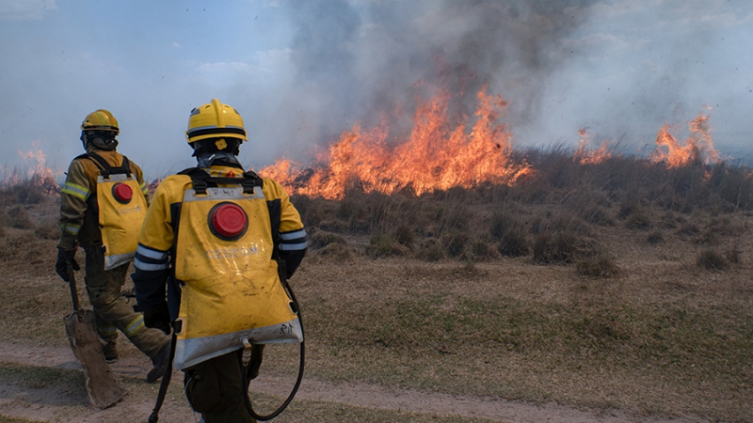 Corrientes: Brigadistas de diferentes provincias luchan contra el fuego