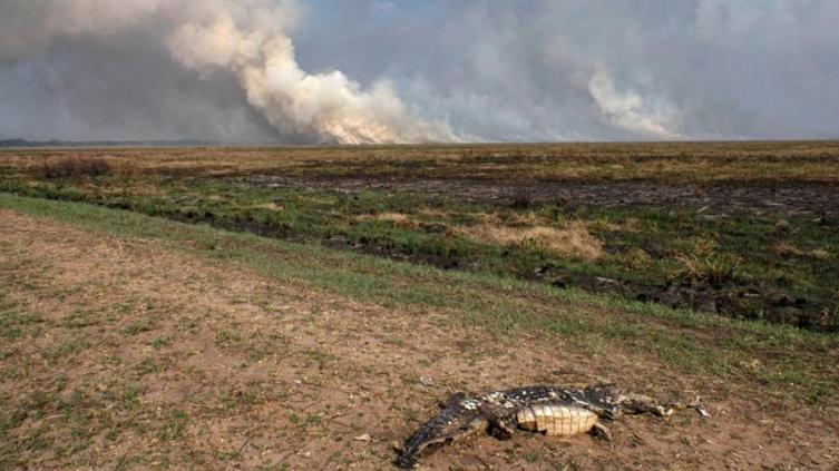 Disminuyeron los focos de incendios en Corrientes, tras la llegada de la lluvia