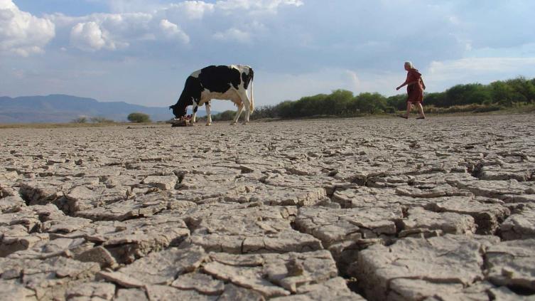 Declararon el estado de emergencia y desastre agropecuario en Santa Fe