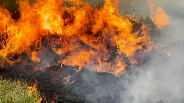 Incendios en Corrientes: “Lo que hizo Santi Maratea te emociona”