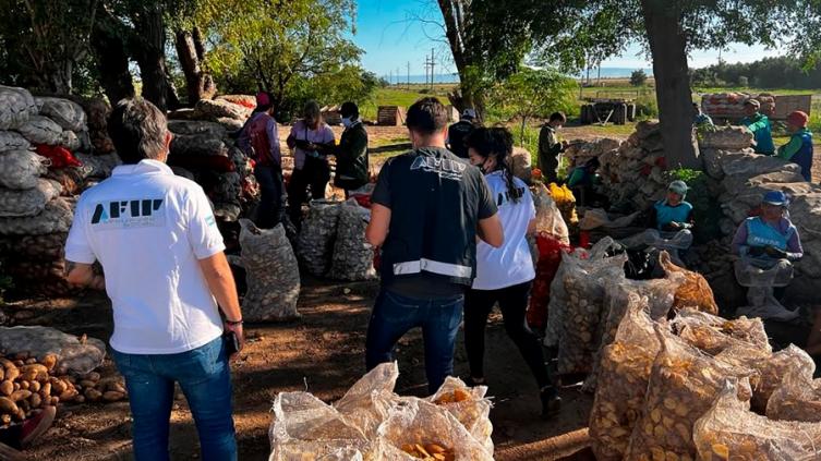 Detectaron explotación laboral en campos de papa en San Luis y Córdoba